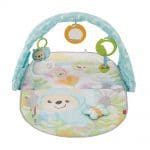 Baby gym Fisher Price Butterfly Dreams