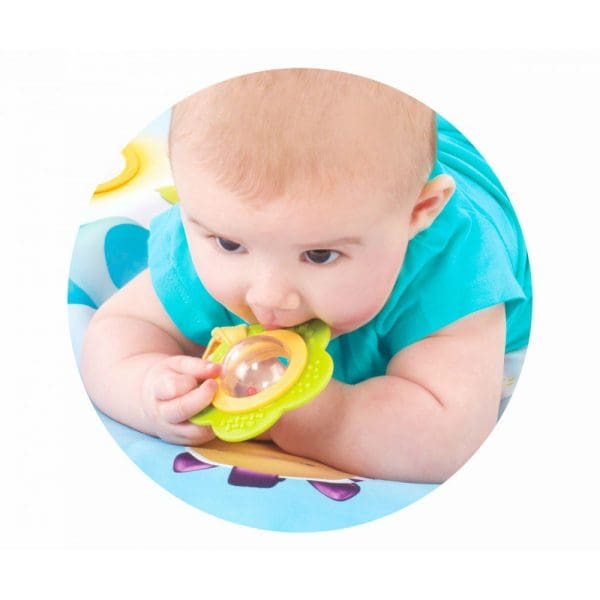 Baby Gym Smoby