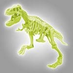 Dječji set Fosili svjetleći dinosaur